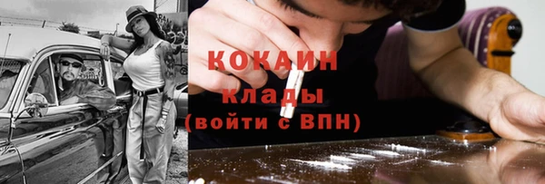 твердый Бородино