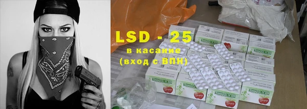 твердый Бородино