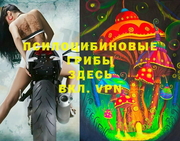 твердый Бронницы