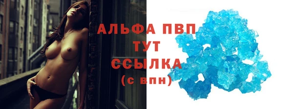 твердый Бородино