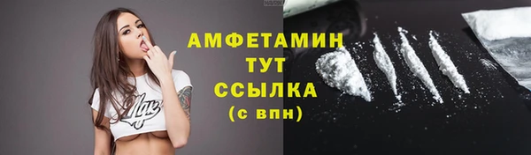 твердый Бронницы