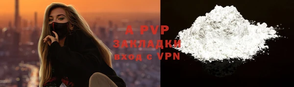твердый Бородино