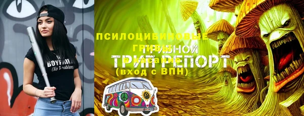 твердый Бронницы