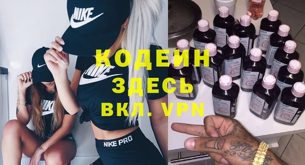 твердый Бородино