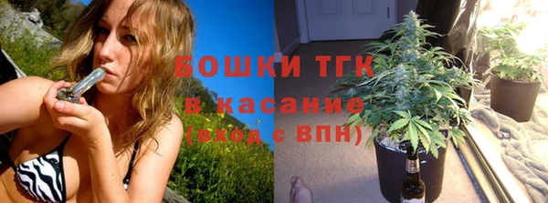 твердый Бородино