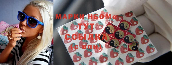 твердый Бородино