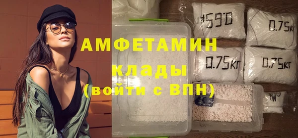 твердый Бородино