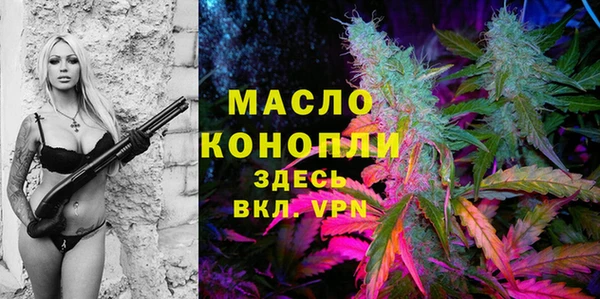 твердый Бородино